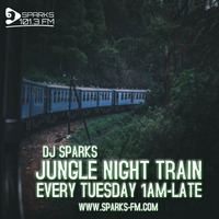 JUNGLE NIGHT TRAIN - DJ SPARKS by Bass Flow Radio