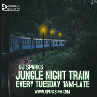 JUNGLE NIGHT TRAIN SHOW - DJ SPARKS FT KJ by Bass Flow Radio