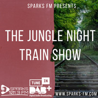 The Jungle Night Train Show ( volume 3) by Bass Flow Radio