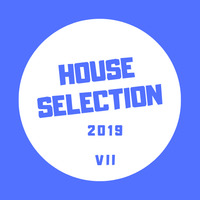 HOUSE SELECTION 2019 VII - DJ MIMO by DJ MIMO