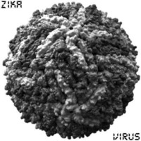 Zika-Virus by T-Virus