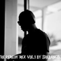 the.whole.Shebang presents the Remedy mix vol.1 by ShebangDJ by Shebang_dj