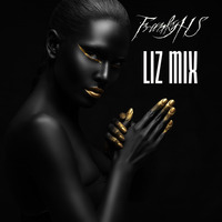 Lizmix-equaliz by FrankyHS (horSService)