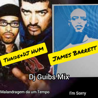Thaíde e DJ Hum - Malandragem Da Um Tempo X James Barrett - I'm Sorry by DJ GUIBS