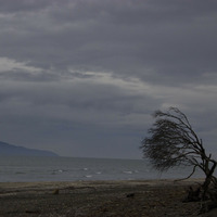 Loneliness (Kapiti island) by Dionysis Boukouvalas, composer