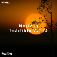 Music Is Indelible 12 by RavSoul