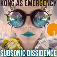 KONG AS EMERGENCY (LIVE ZURICH 2013) by Subsonic Dissidence