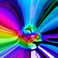 Lion Heart ❤ - EQUINOX 2 - Release The Bangarang - 2020 03 19 by Lion Heart