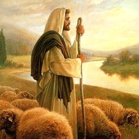 &quot;Everyone Needs Compassion, the Kindness of a Savior, Jesus the Good Shepherd&quot; - Homily Fr. Joseph Rogers Easter 4th Sunday Yr B - 04/25/2021 by SCTJM