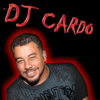 Dj Cardo - In The Mix (Volume 15) by Professional Productions
