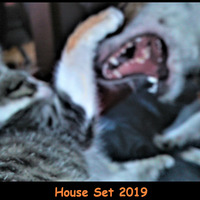 House Set 2019 by blendandused(^‿^)b