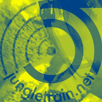 DJ Problem Child - Live On Jungletrain.net 22.1.2020 (2019-2020 Oldskool, Nuskool &amp; Modern Jungle) by DJ PROBLEM CHILD