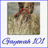 Gayowah 101 - Show #09 by Ohwęjagehká: Haˀdegaenáge: