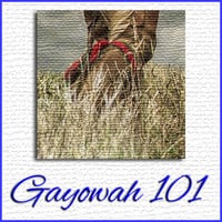Gayowah 101 - Show #10 by Ohwęjagehká: Haˀdegaenáge: