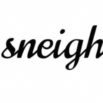 Sneigh