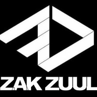 THE FREESTYLERS FEAT FAST EDDIE - THE SOUND (ZAK ZUUL EDMONSTER ACID HOUSE REMIX) by ZAC ZUULANDI