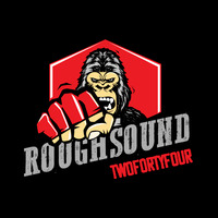 Twofortyfour - Live Set &quot;Snakes in Space&quot; by ROUGHSOUND