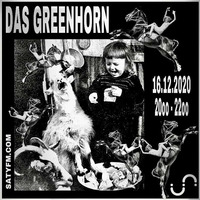 das greenhorn 04 - katarina ilic - 16.12.20 by stayfm