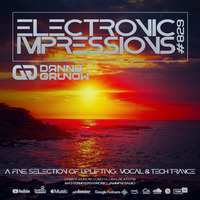 Electronic Impressions 829 with Danny Grunow by Danny Grunow