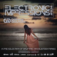 Electronic Impressions 834 with Danny Grunow by Danny Grunow
