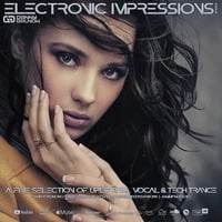 Electronic Impressions 843 with Danny Grunow by Danny Grunow