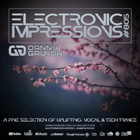 Electronic Impressions 805 with Danny Grunow by Danny Grunow