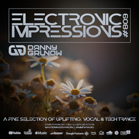 Electronic Impressions 809 with Danny Grunow by Danny Grunow