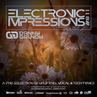 Electronic Impressions 811 with Danny Grunow by Danny Grunow