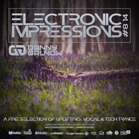 Electronic Impressions 814 with Danny Grunow by Danny Grunow