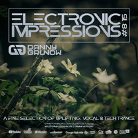 Electronic Impressions 815 with Danny Grunow by Danny Grunow