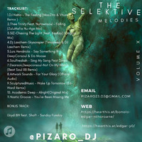 THE SELEKTIVE MELODIES by PIZARO
