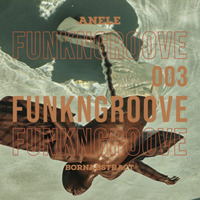 Anele x Bornabstract • FunkNGroove 003 by Matte Black