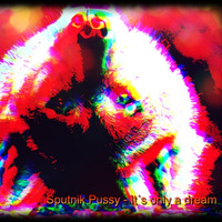 Sputnik Pussy - It´s Only a Dream by Sputnik Pussy
