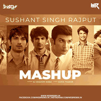Sushant Singh Rajput Mashup - DJ Shadow Dubai by WR Records