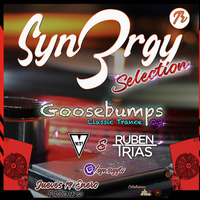 Syn3rgy TV - Goosebumps Classic Trance 03 - Ruben Trías &amp; Viti - 19-01-2023 - (Classic trance set) by Syn3rgy TV