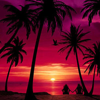Tropical Sunset 2020 (Cristina's taste) by Grozdanov