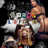 SHRAP LIFE 2 by dj lee