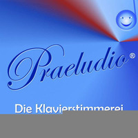Schiedmayer-Piano 440 Hertz höher gestimmt by Praeludio