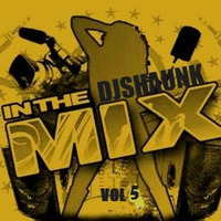 Krazy Mix Vol 5 by shaundjskool