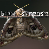 KACHINAS _ STRANGE DESIRE by Laurent Mayer - DJ BRAINWASHER