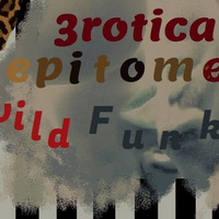 EROTICA EPITOME - Wild Funk by Nhlekeleza
