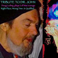 DR. JOHN TRIBUTE  (EP) by plywoodpalace