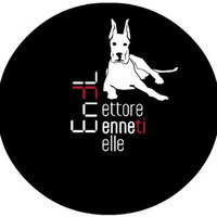 House Radio Podcast 002 - Ettore Ennetielle by HouseRadio.net - house music radio