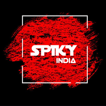 DJ SPIKY INDIA