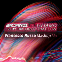 Eric Prydz &amp; Tujamo - Every Day Drop That Low (Francesco Russo Mashup Mix) by Francesco Russo