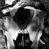 Ritual III: Kinski spricht Noise... Psycore/ Darkpsy /HiTech  (53-240 BPM) by Psyfons