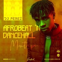 Afrobeat &amp; Dancehall Vibez, May 2020 - DJ Perez by Haniel