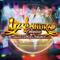 VASO DE CERVEZA / LIZ SANDRA COAQUIRA / (Audio Oficial) IMPERIOMUSIC™ by IMPERIO MUSIC™
