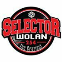 SELECTOR WOLAN 254 OLD SKUL HITS VOL 1 by Selector Wolan254