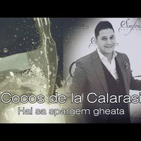 Cocos de la Calarasi - Hai sa spargem gheata ( DjS. Redrum remix 2020) by DjS.